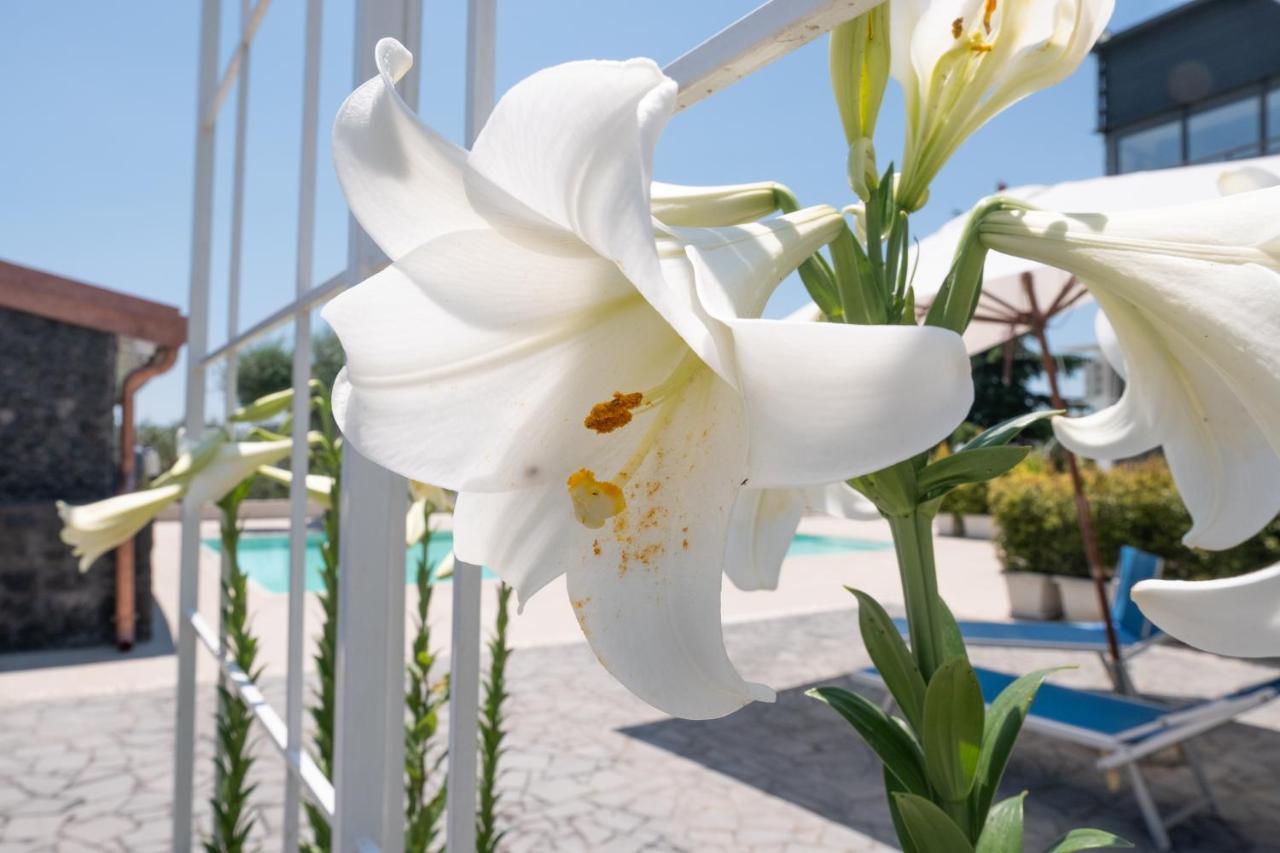 Lux Suite Sicily Mascalucia Kültér fotó